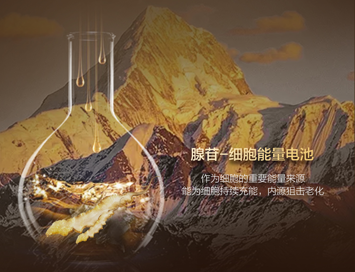 软膜详情页_15.jpg