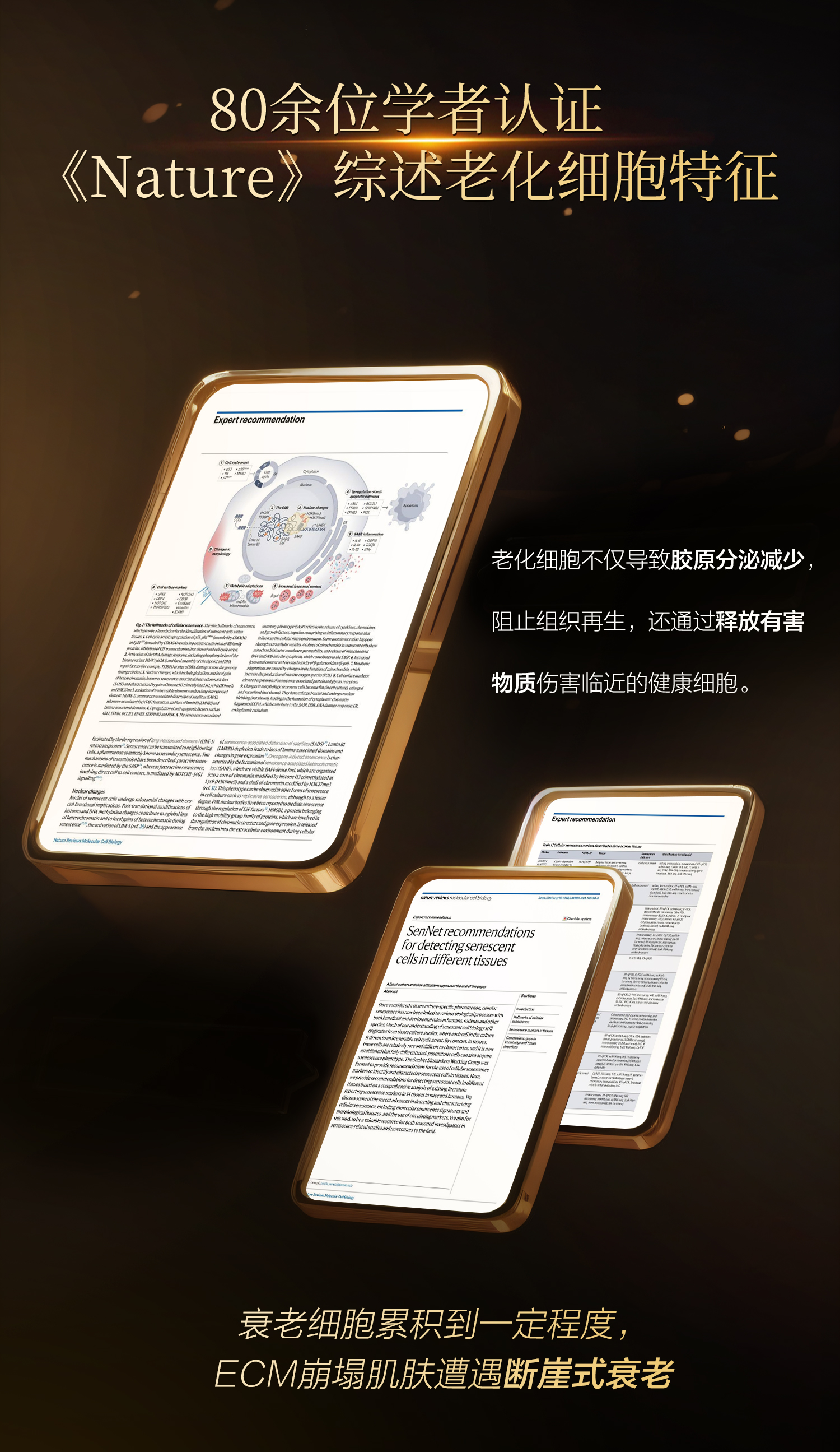 详情页-精华(微信）-拷贝_03.jpg