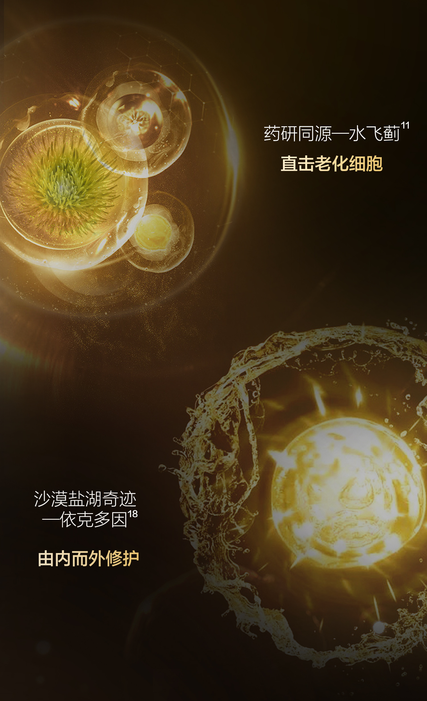 详情页-精华(微信）-拷贝_11.jpg