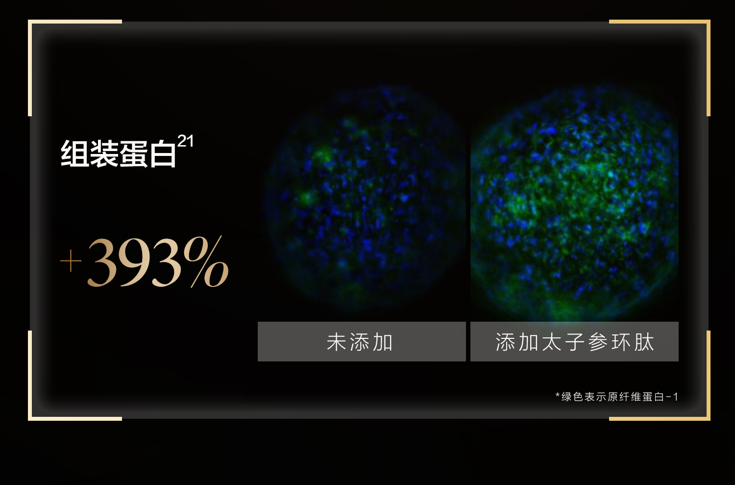 详情页-精华(微信）-拷贝_14.jpg