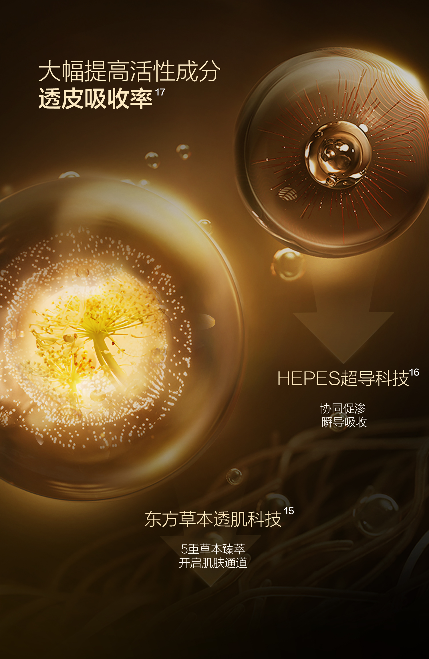 详情页-面膜.2_02.jpg