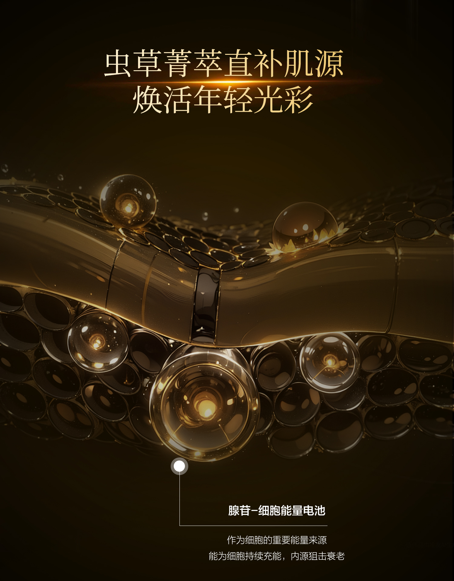 详情页-面膜_10.jpg