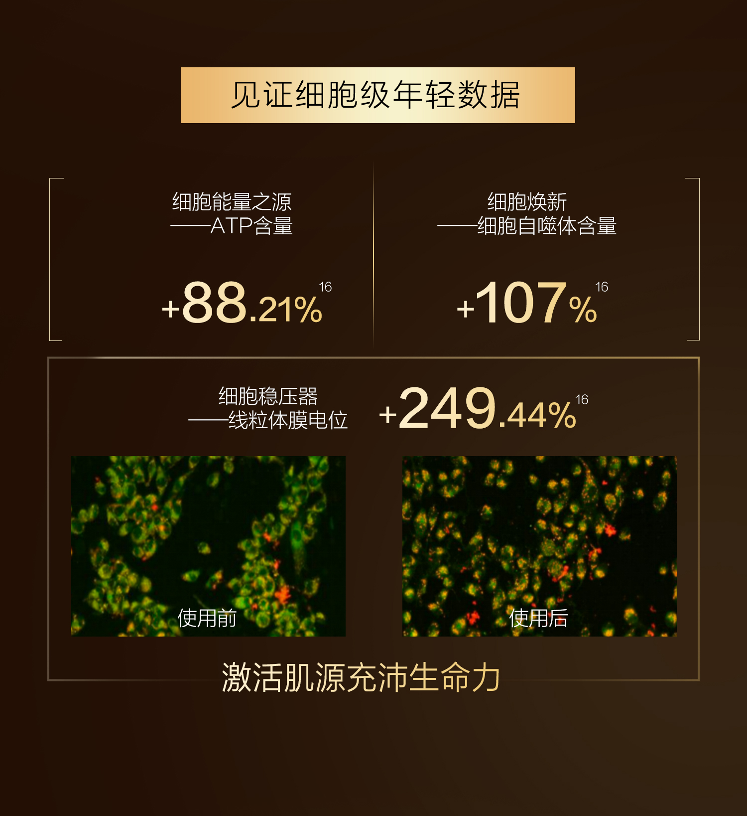 面霜详情页2_01.jpg