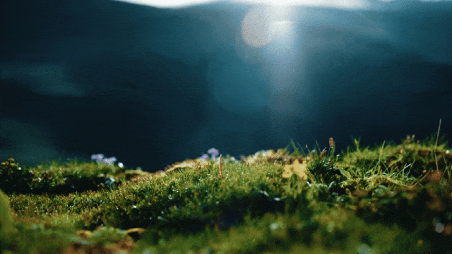 640.gif